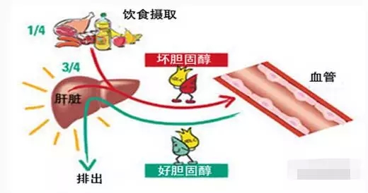 BwinӮʡ(й)Ψһٷվ